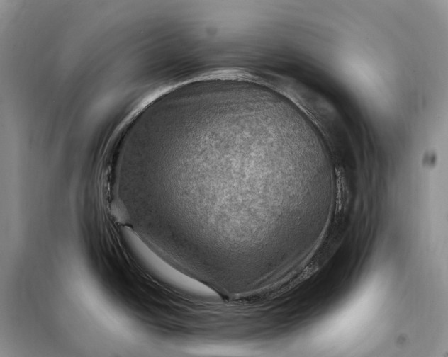 X0000098001438200804071207