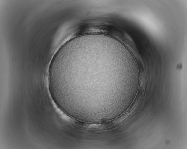 X0000098001439200804071207