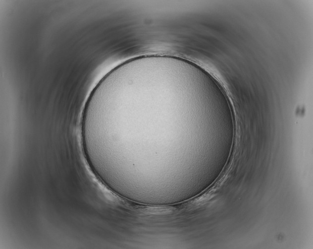 X0000098001440200804071207