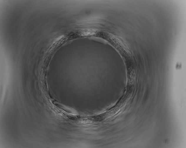 X0000098001441200804071206