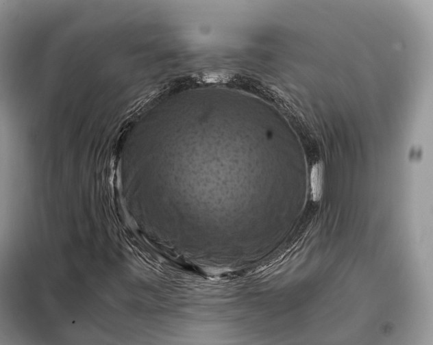 X0000098001443200804071206