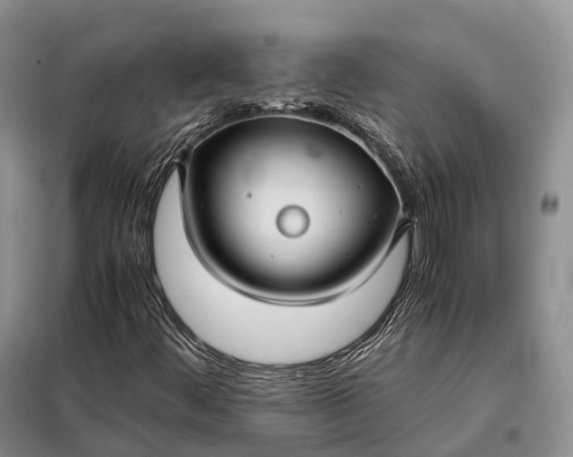 X0000098001444200804071206