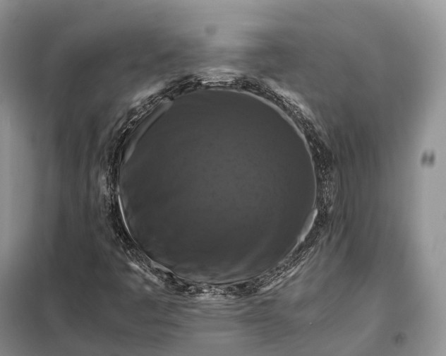 X0000098001445200804071206
