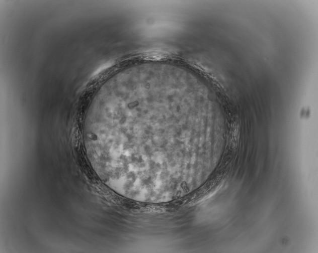 X0000098001446200804071206