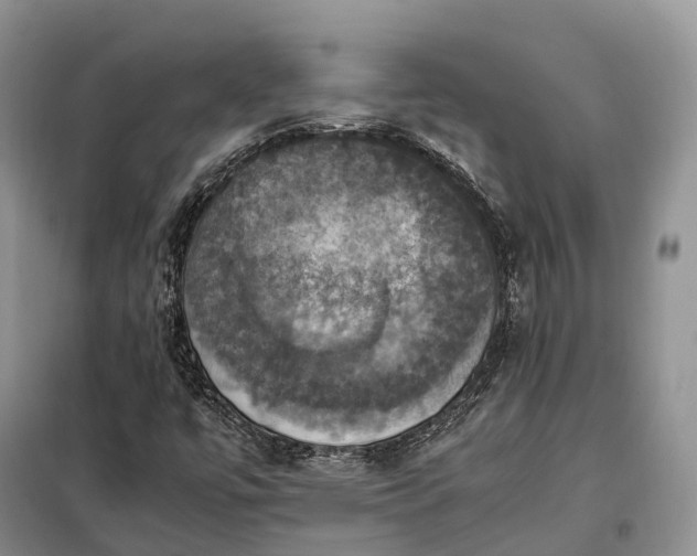 X0000098001447200804071206