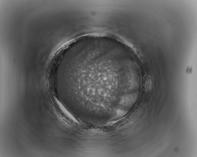 X0000098001448200804071206