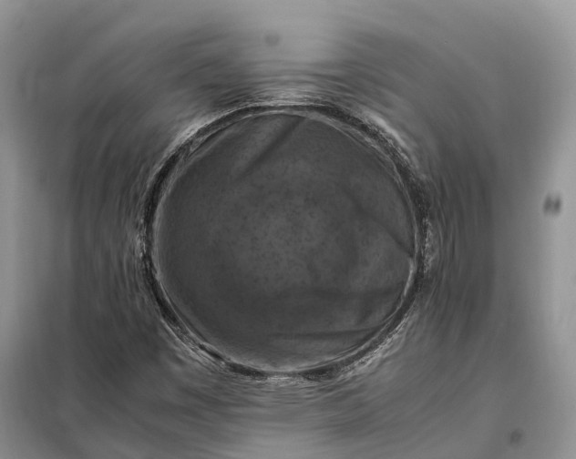 X0000098001449200804071206