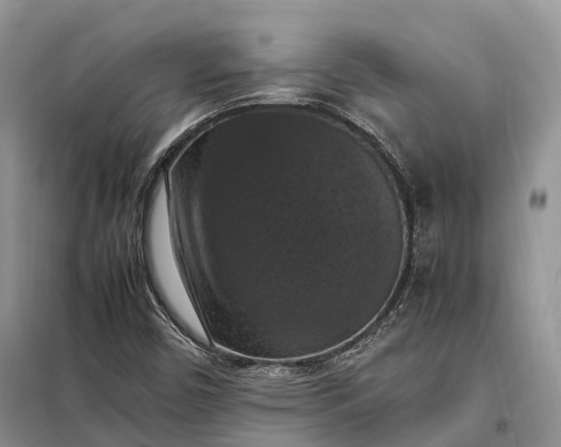 X0000098001450200804071206