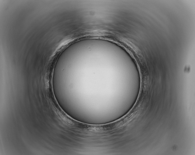 X0000098001451200804071206