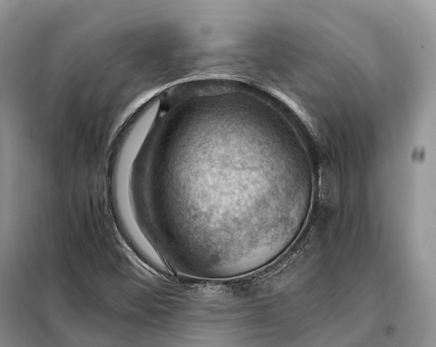 X0000098001452200804071206