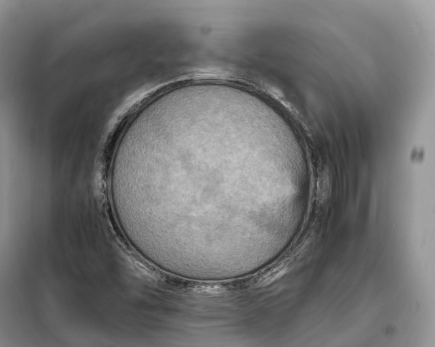 X0000098001454200804071206