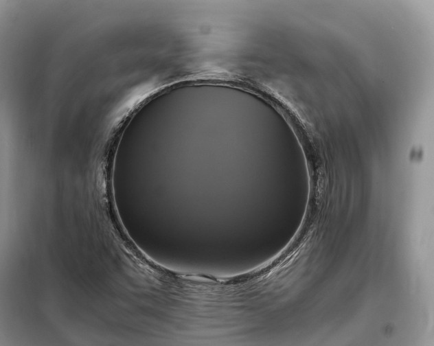 X0000098001455200804071206