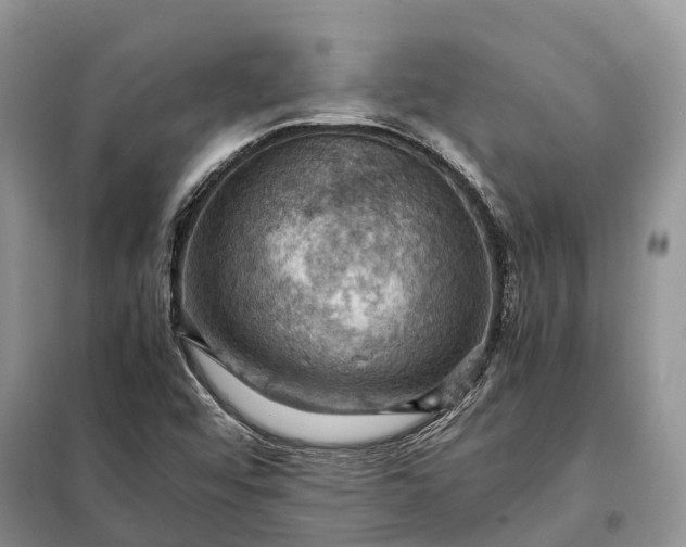 X0000098001456200804071206