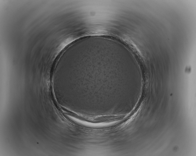 X0000098001457200804071206