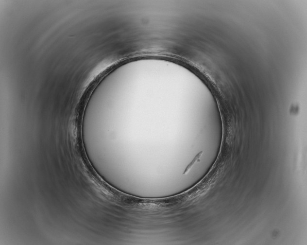 X0000098001458200804071206