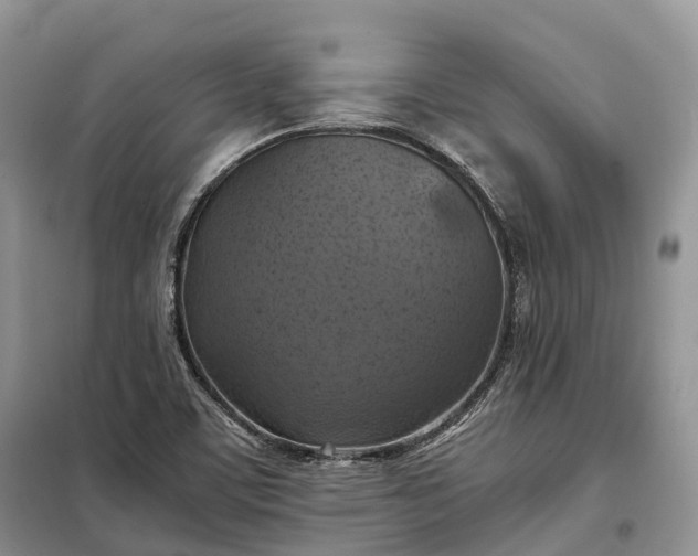 X0000098001459200804071206
