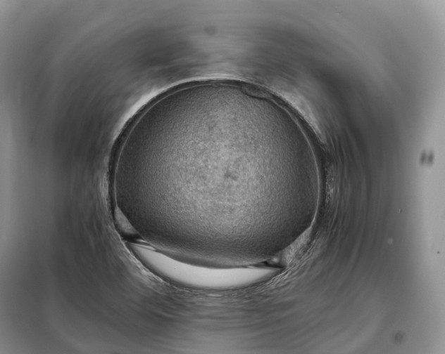 X0000098001460200804071206