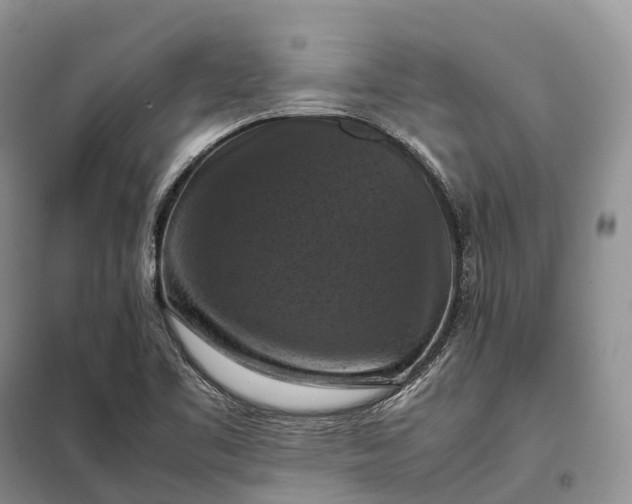 X0000098001461200804071206