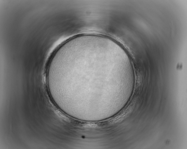 X0000098001462200804071206