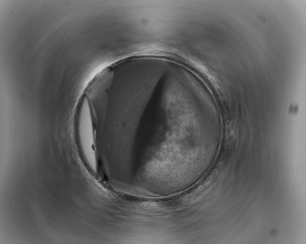X0000098001463200804071206