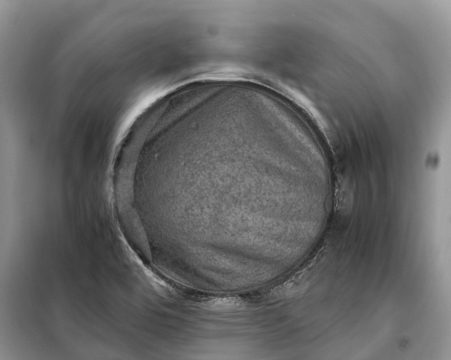 X0000098001464200804071206