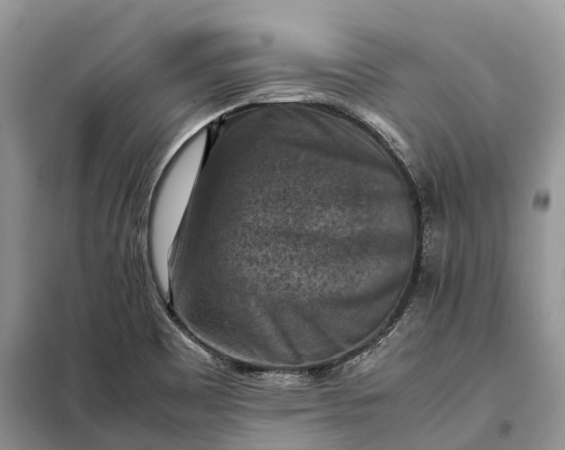 X0000098001465200804071206