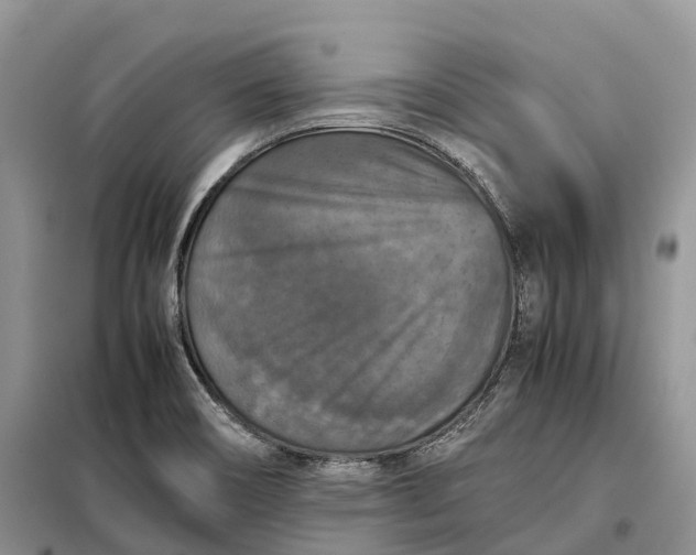 X0000098001466200804071206