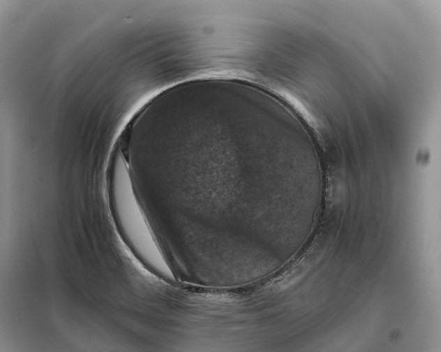 X0000098001468200804071206