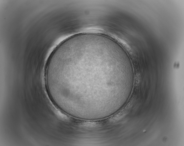 X0000098001470200804071205
