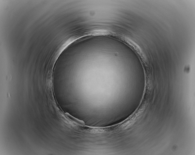 X0000098001473200804071205