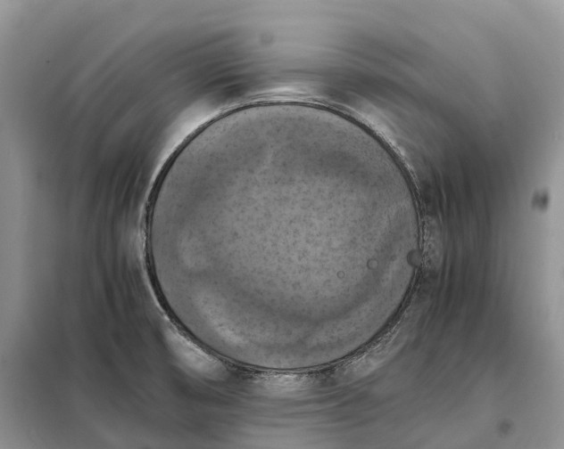 X0000098001474200804071205