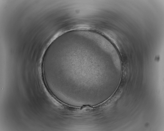 X0000098001475200804071205