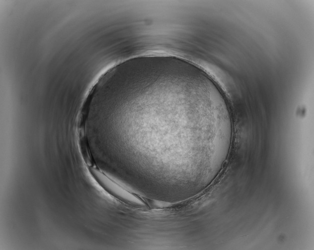 X0000098001476200804071205