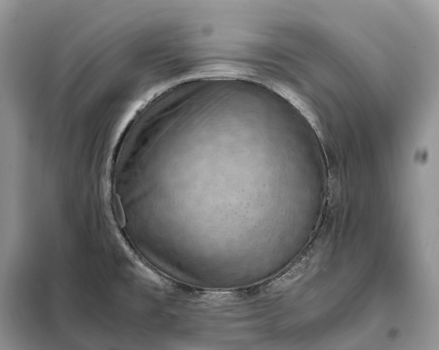 X0000098001477200804071205