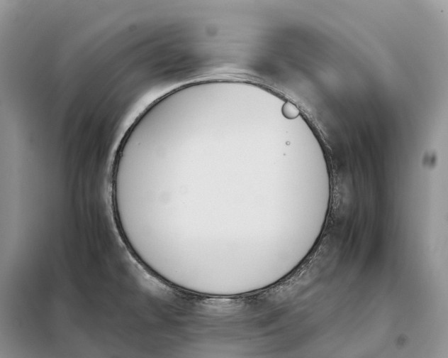 X0000098001478200804071205