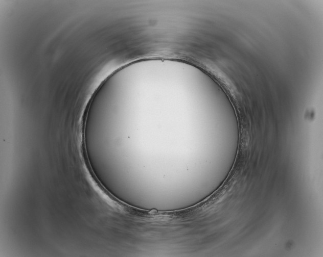X0000098001479200804071205