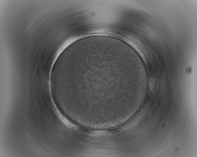 X0000098001482200804071205