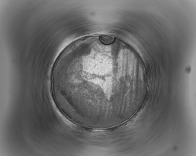 X0000098001483200804071205