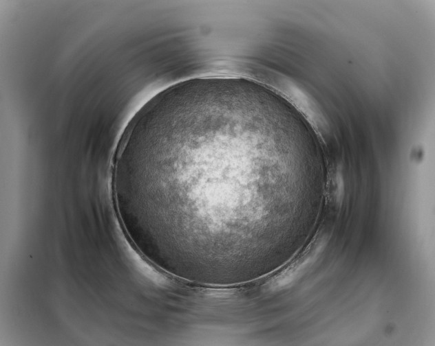 X0000098001484200804071205