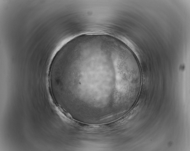 X0000098001485200804071205