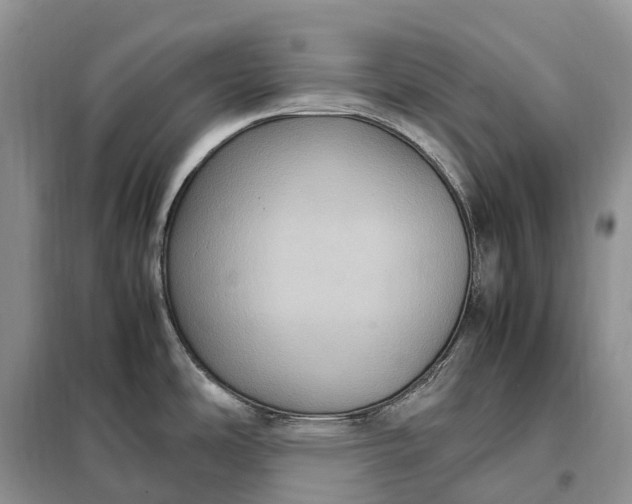 X0000098001486200804071205