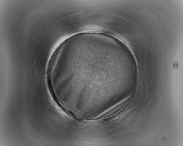 X0000098001488200804071205
