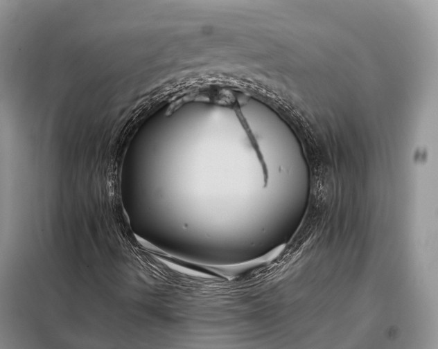 X0000098001490200804071204