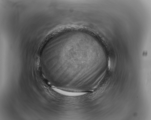 X0000098001492200804071204