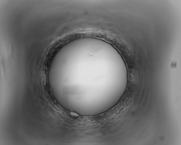 X0000098001493200804071204