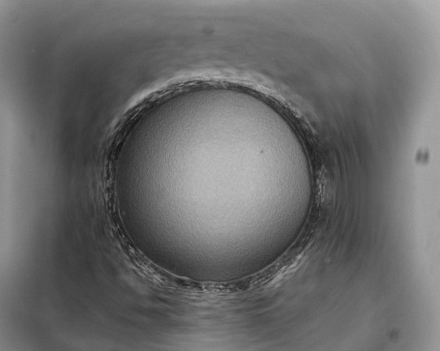 X0000098001494200804071204