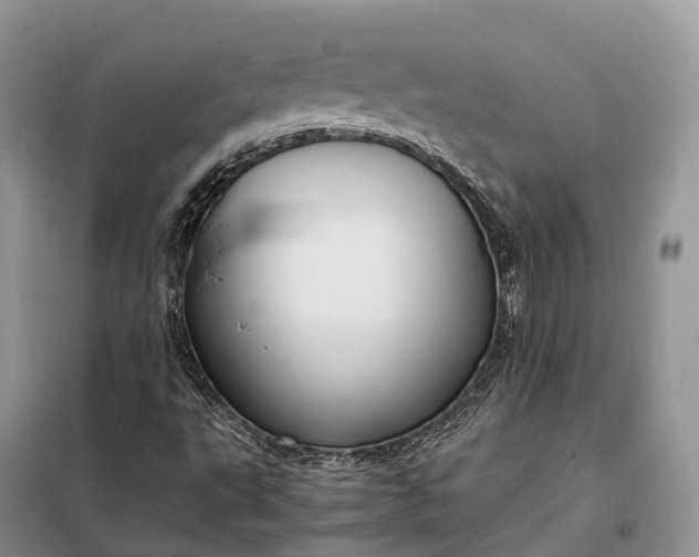 X0000098001495200804071204