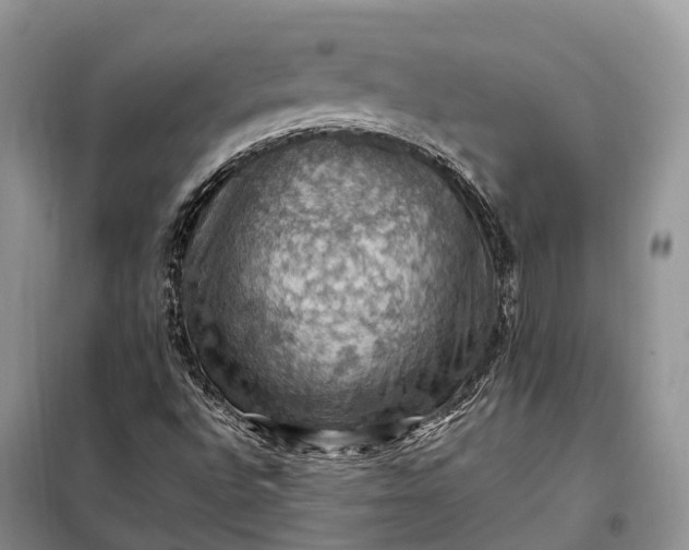 X0000098001496200804071204