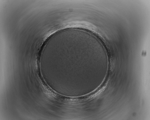 X0000098001497200804071204