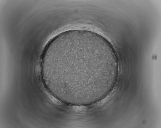 X0000098001498200804071204